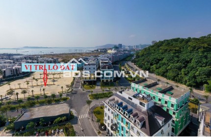 Bán 3000m2 đất trung tâm phường bãi cháy, hạ long@200 TỶ